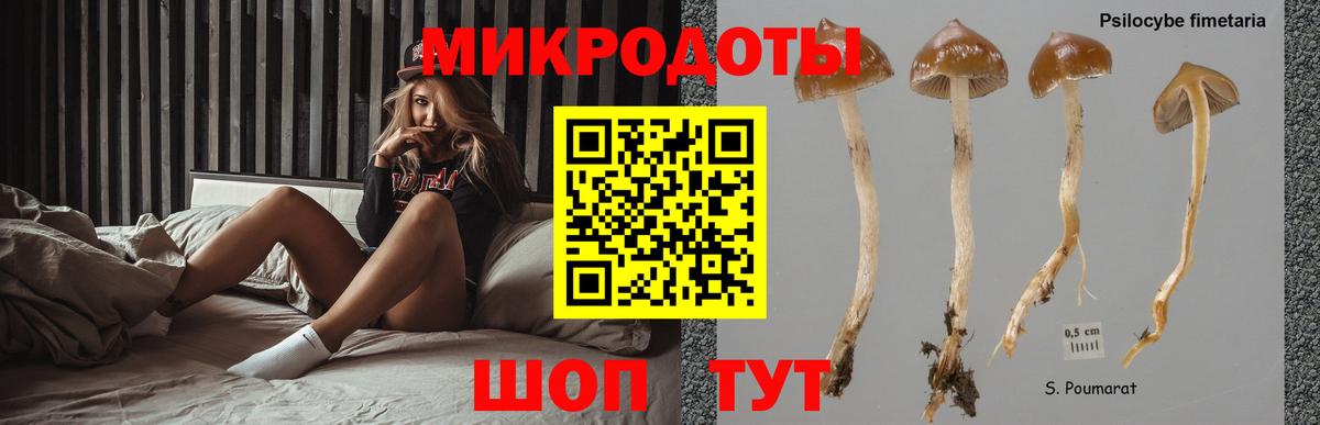 Псилоцибиновые грибы Magic Shrooms  Псилоцибиновые грибы GOLDEN TEACHER  Вход с VPN  Изобильный 